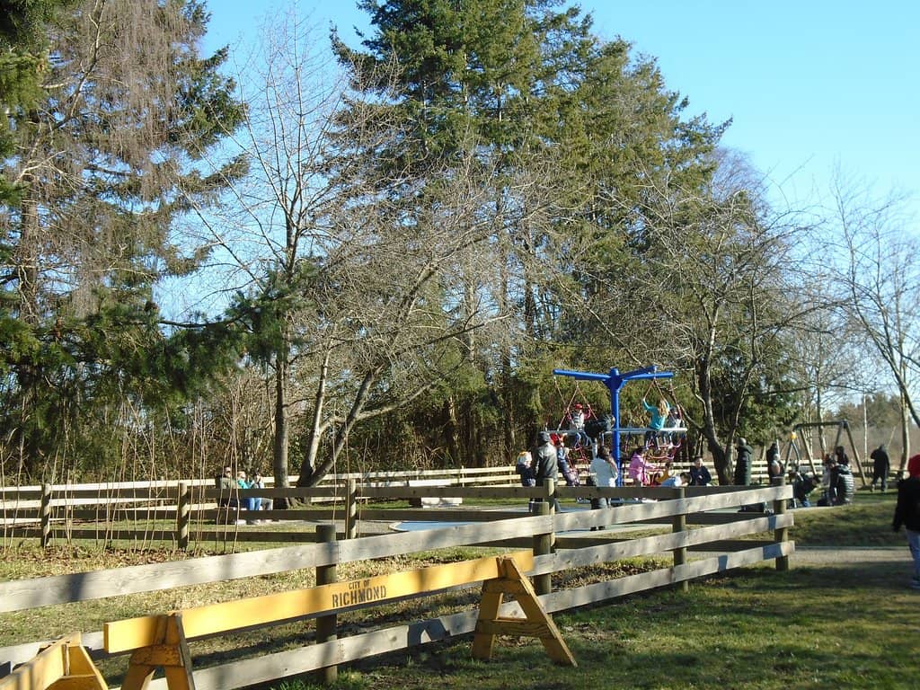 Zip Line Thrills