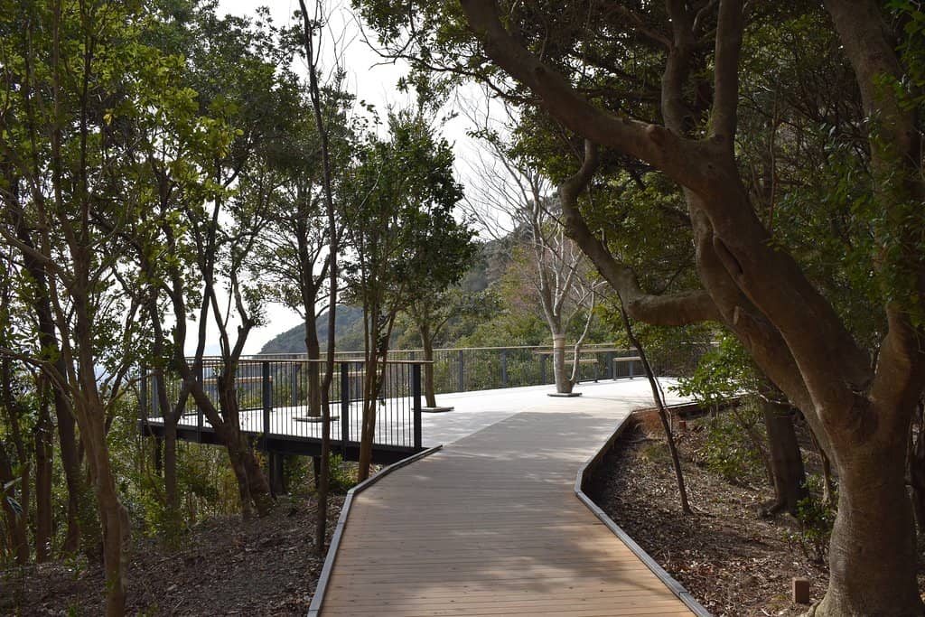 Wooden Viewing Terrace