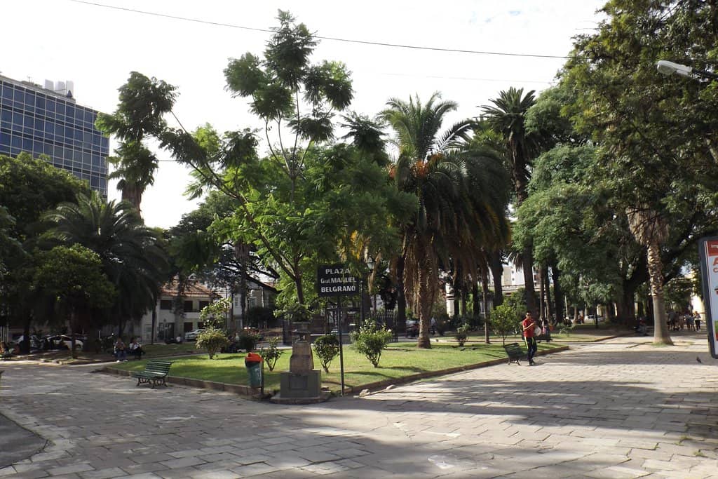 Palm-Lined Promenade