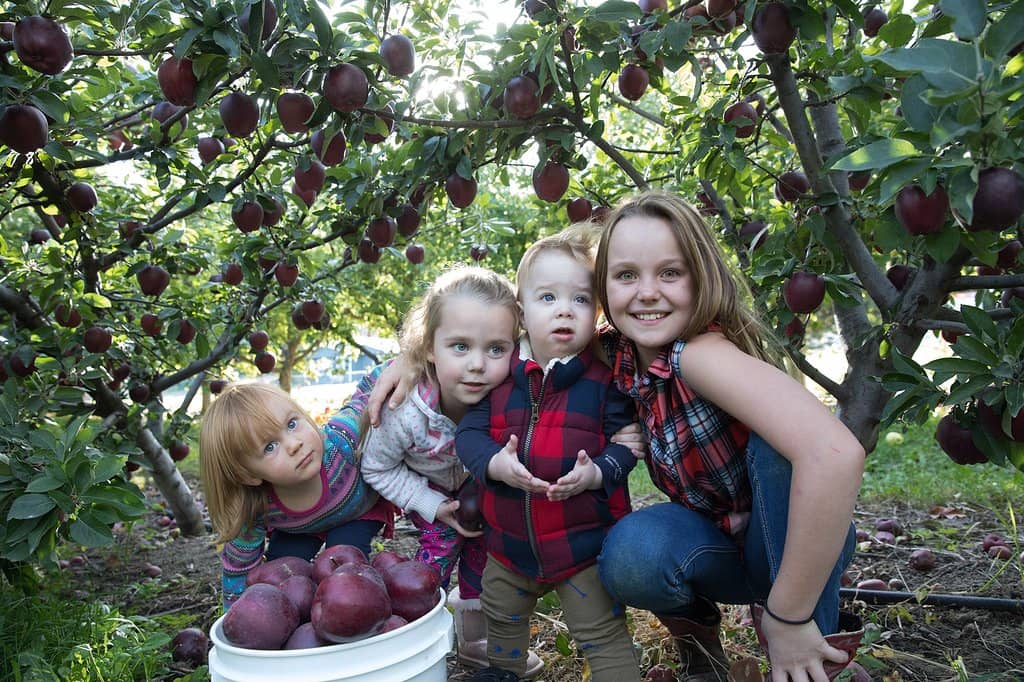 Farm Market Treasures