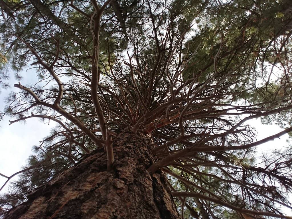 Highlights