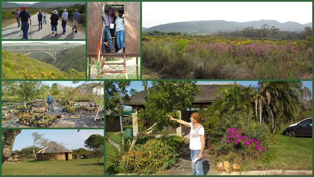 Van Stadens Bridge Views