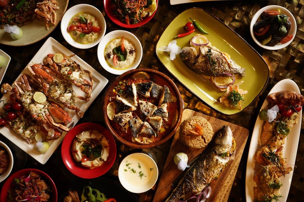 Vibrant Live Entertainment