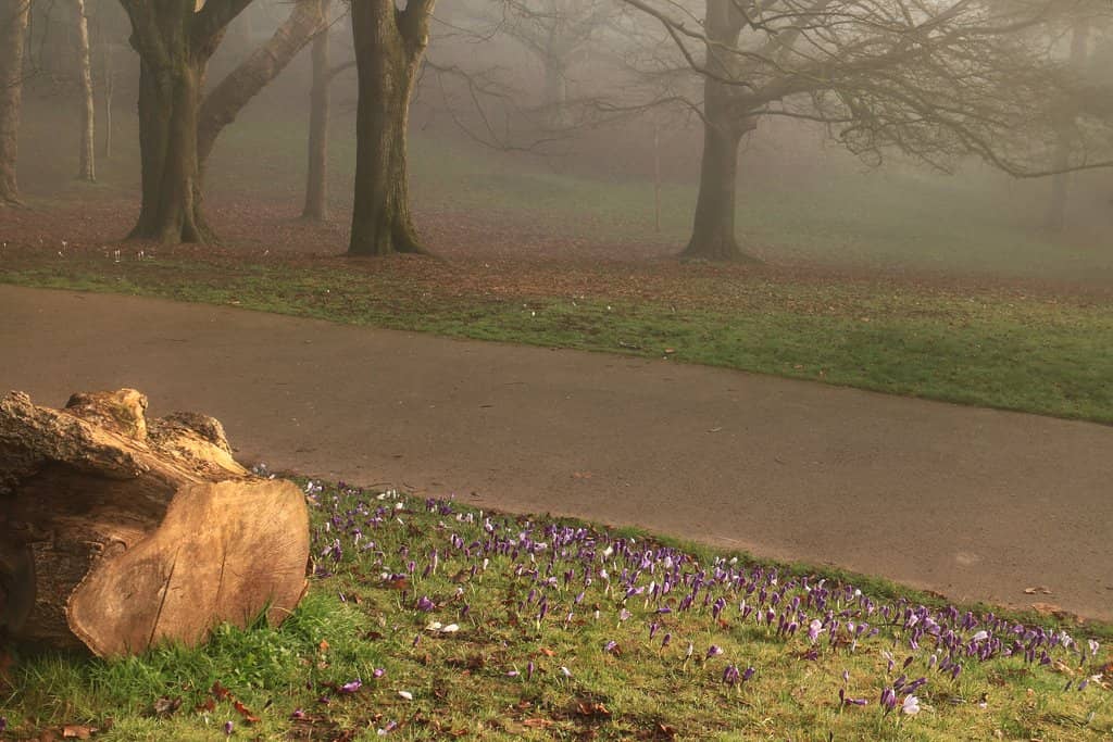 Children's Play Areas