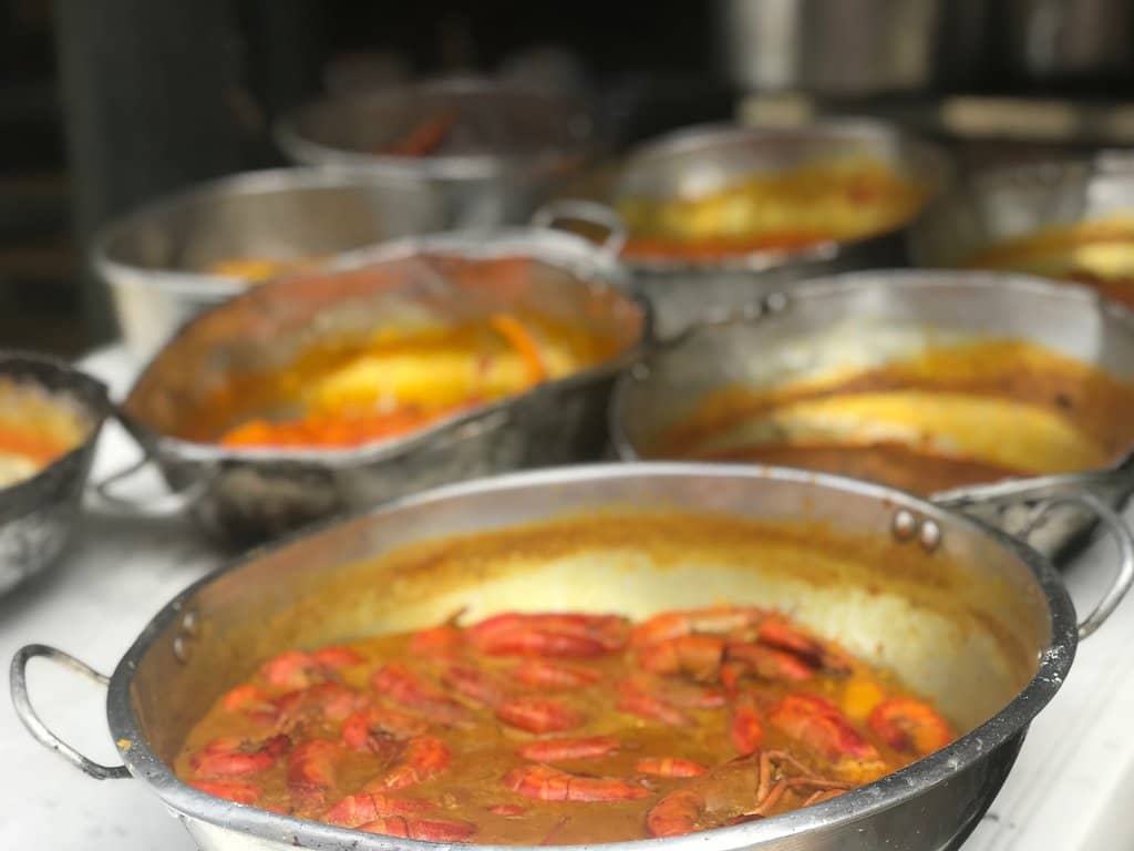 Red-capped Manakin Dance