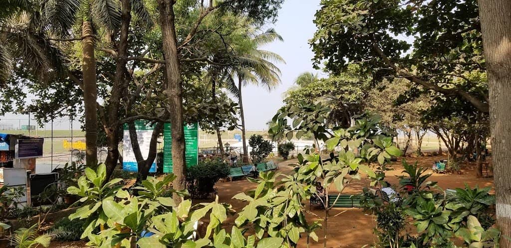 Dedicated Children's Play Area