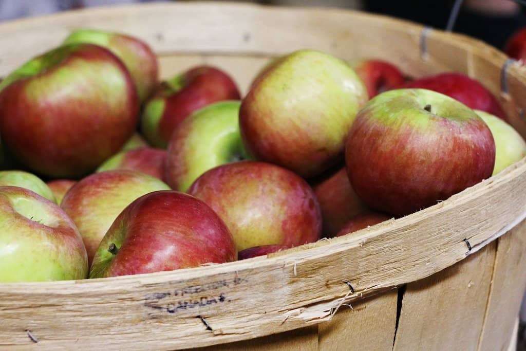 Nomadic Fiori Bouquets
