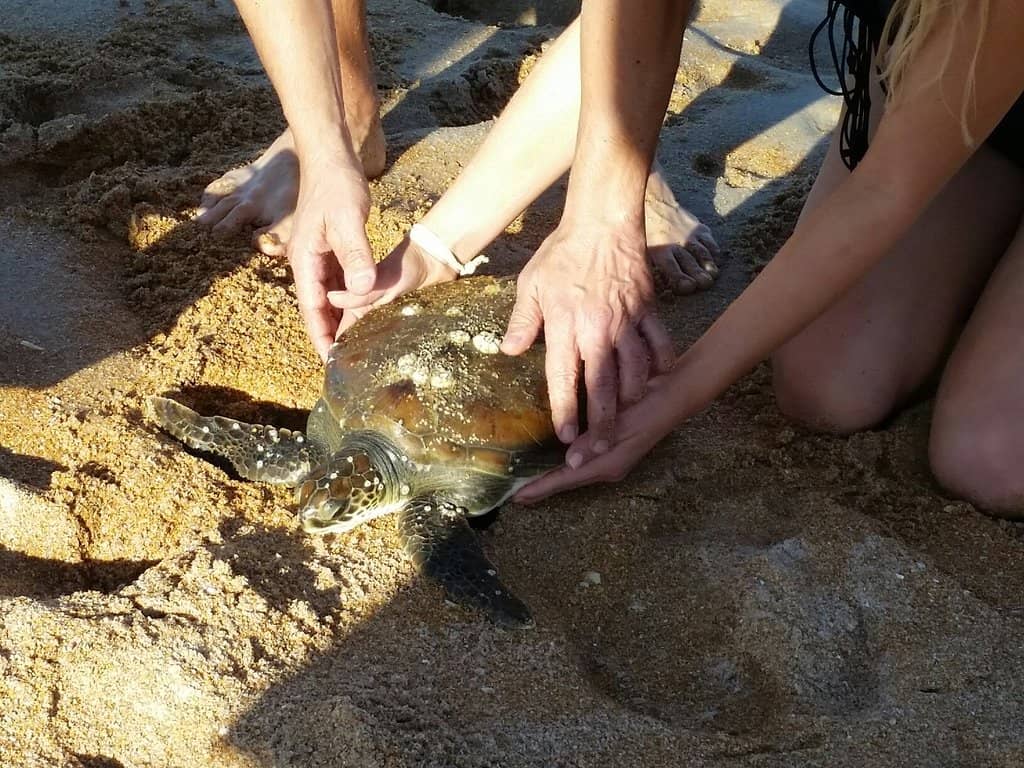 Andy Romano Beachfront Park