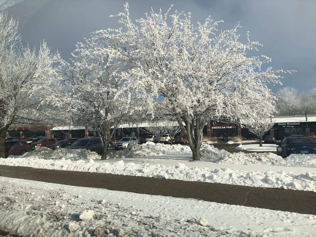 Wooded Nature Trails