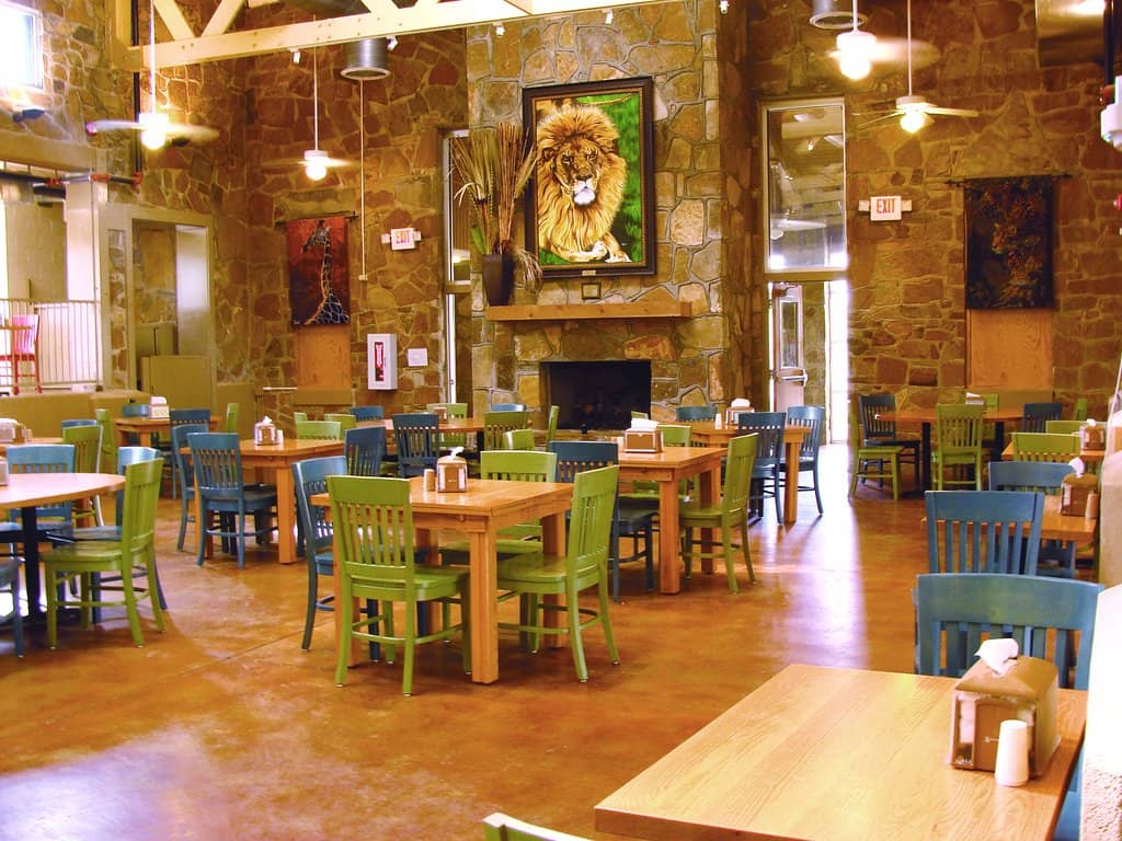 Penguin & Puffin Coast