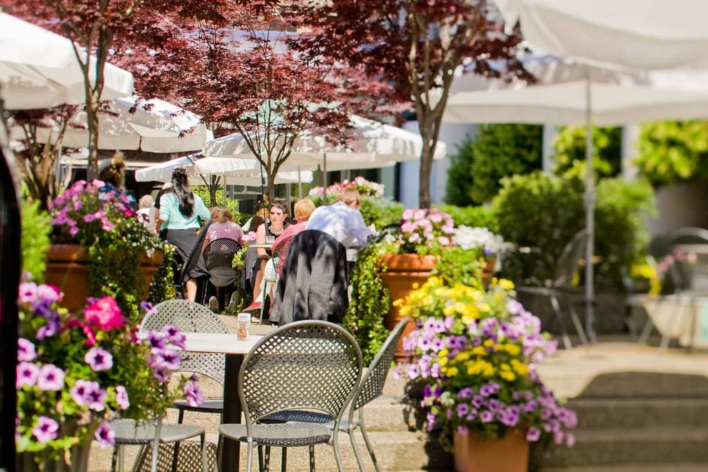 Emily Carr Collection