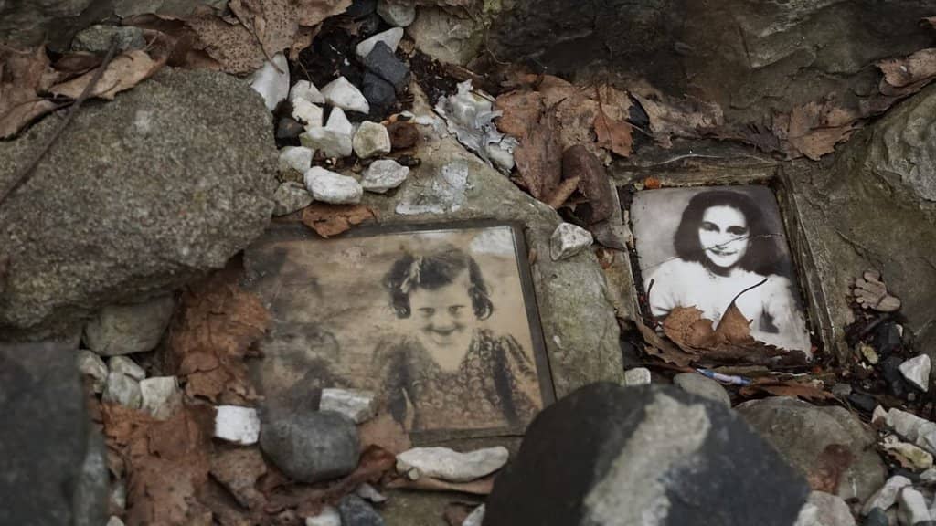 Overgrown Natural Beauty