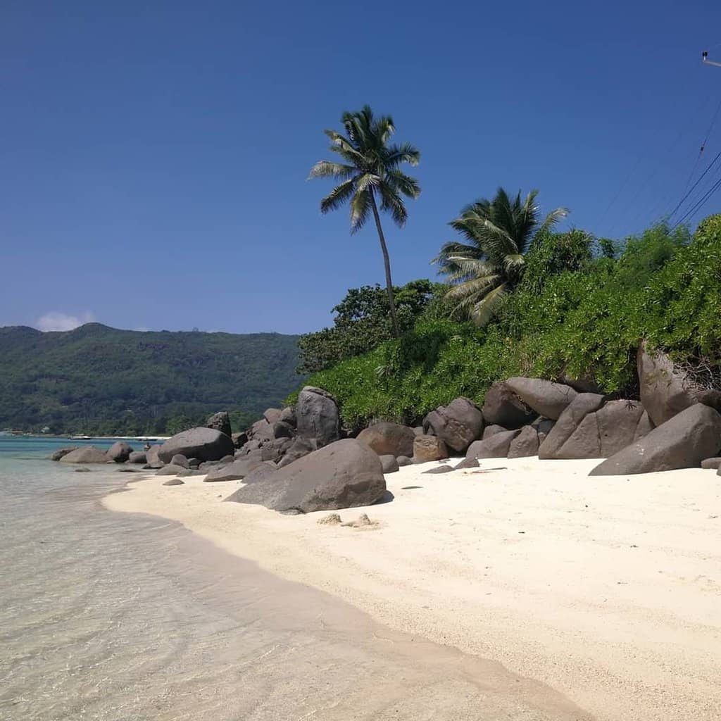 Powdery White Sands