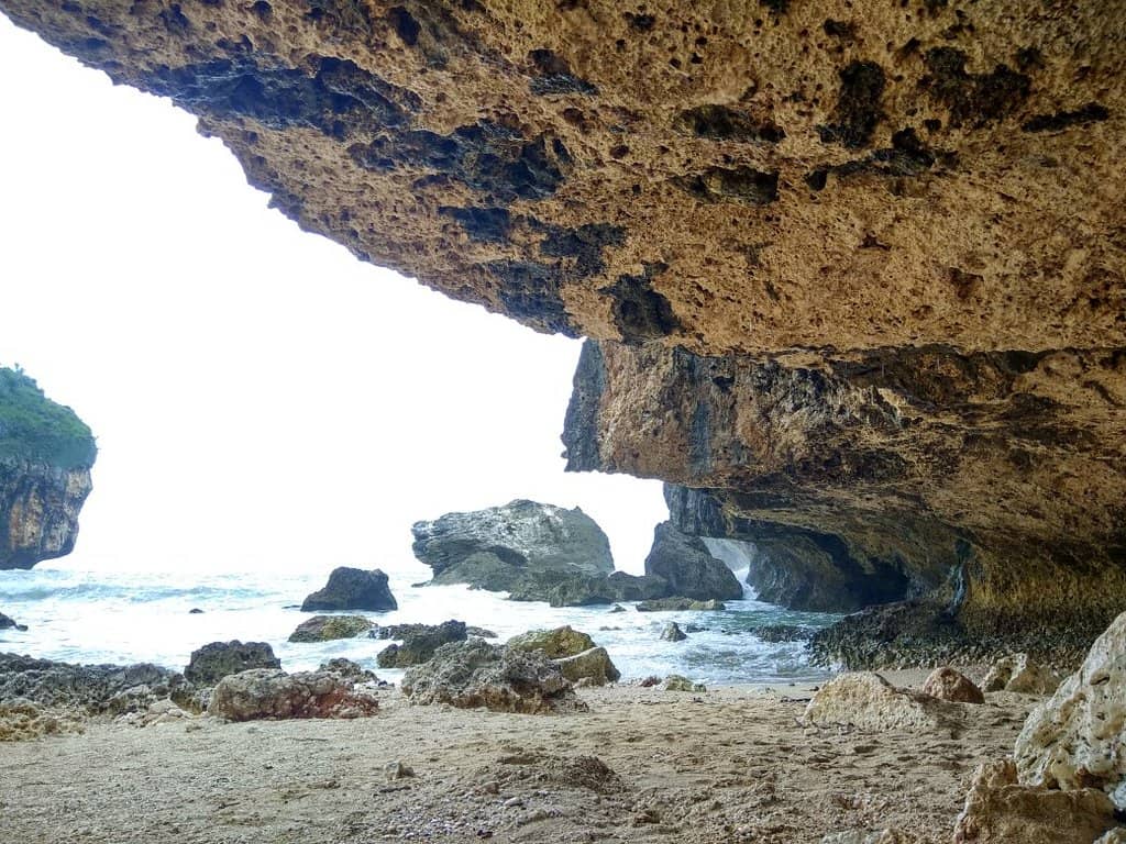 Vertical photo