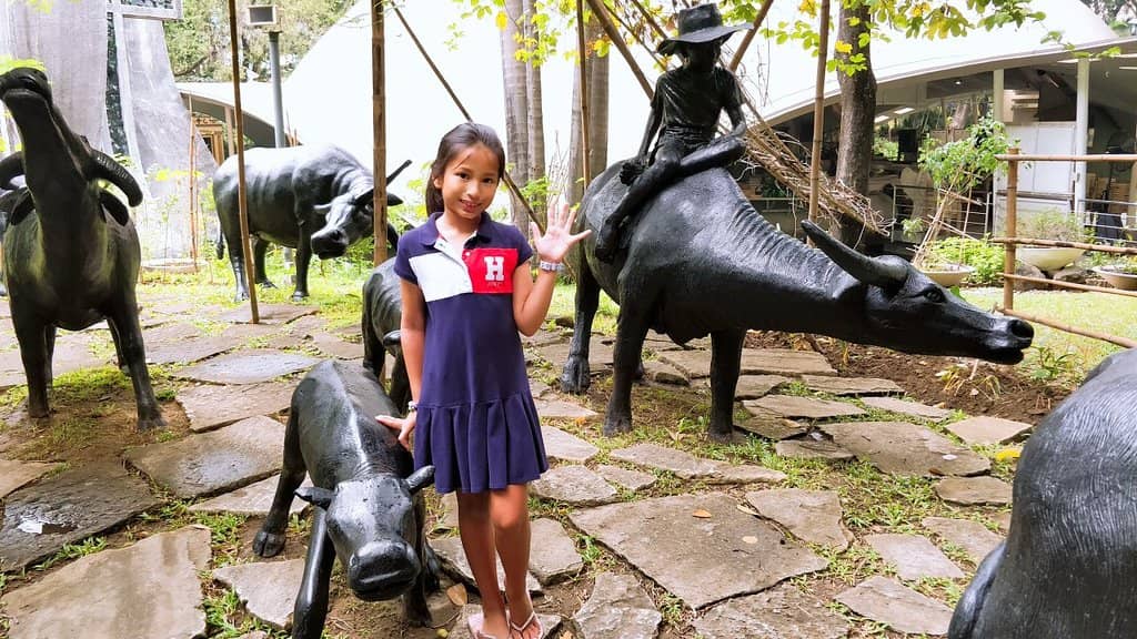 Ayala Museum