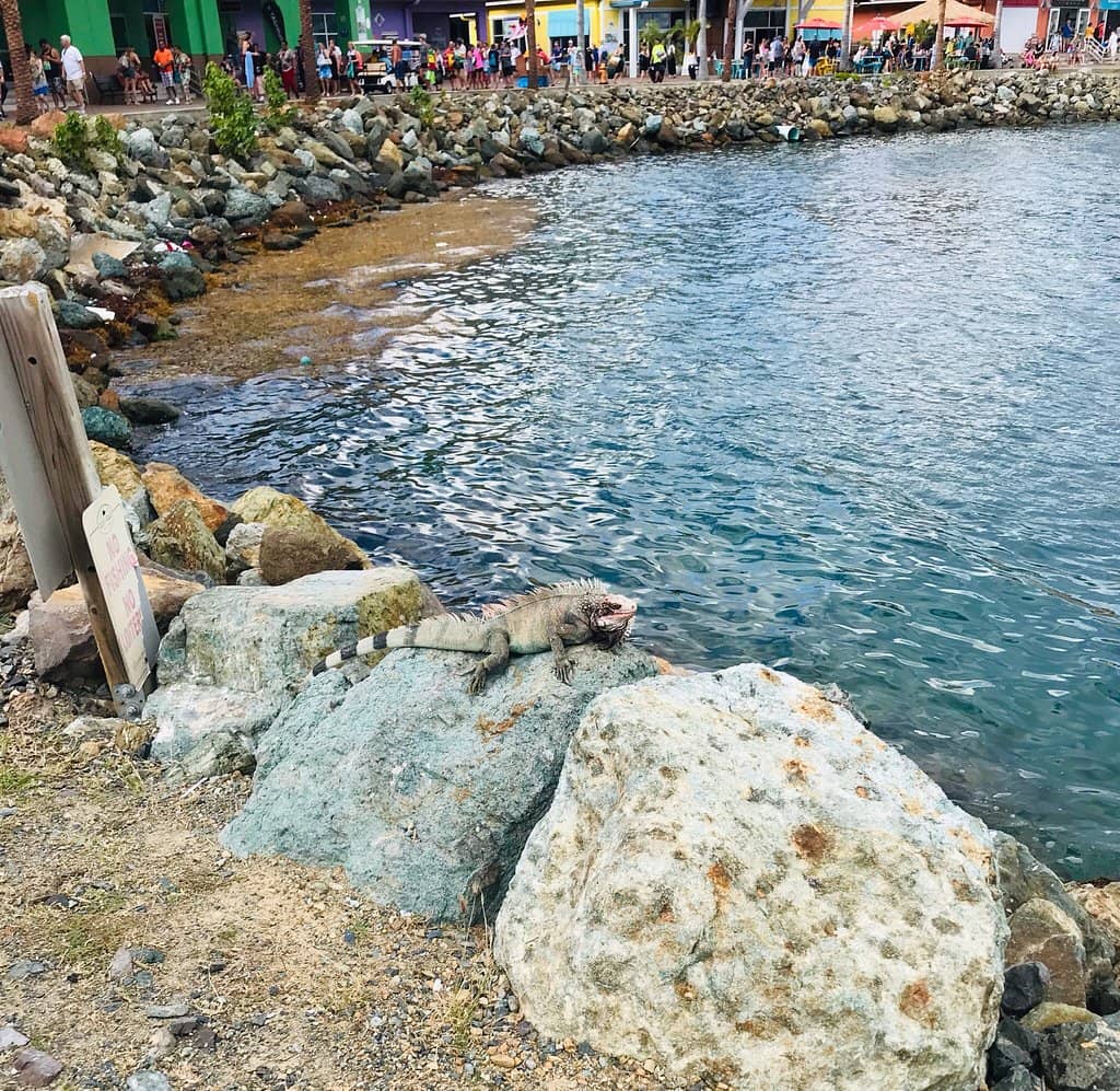 Vertical photo