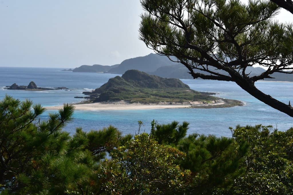 Snorkeling with Sea Turtles