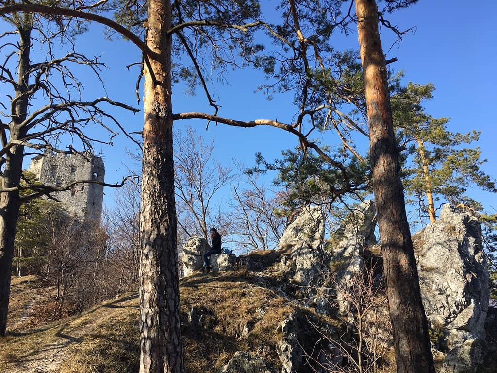 Castle Ruins Exploration