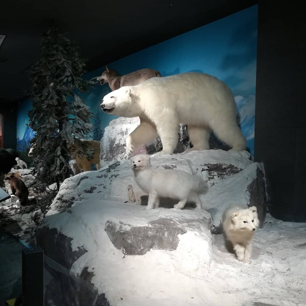 Dinosaur Fossil Hall