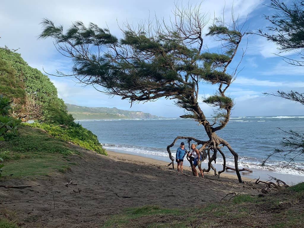 Beach Access
