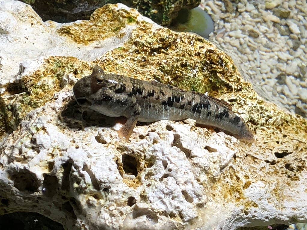 Seasonal Exhibits