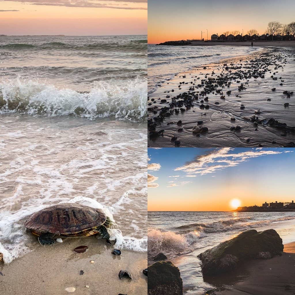 Manhattan Beach Botanical Garden