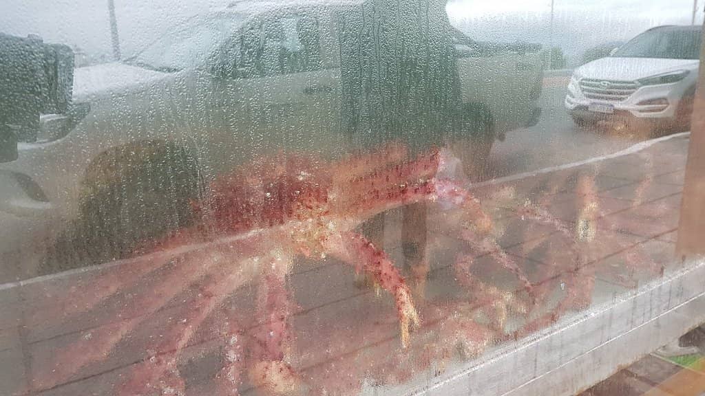 Local Gem with a Queue