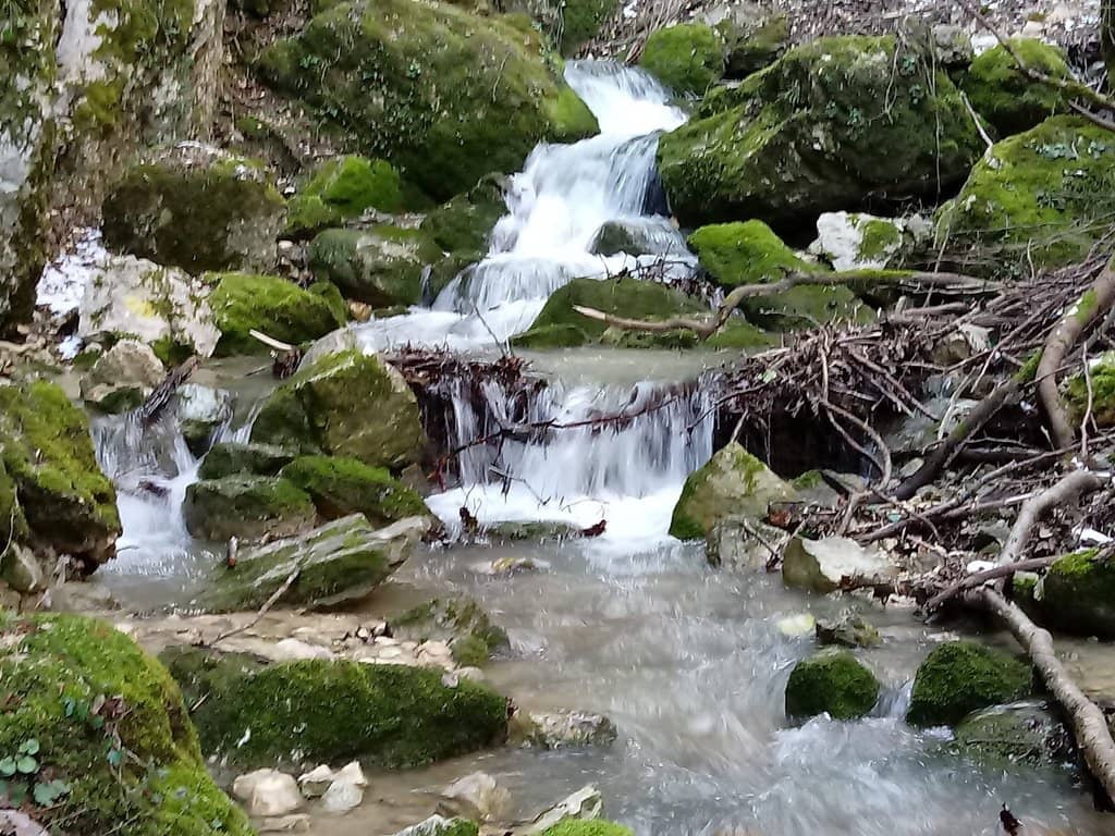 Well-Maintained Trails