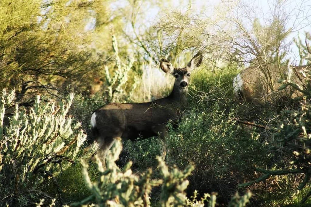 Brunch Cruise with a View