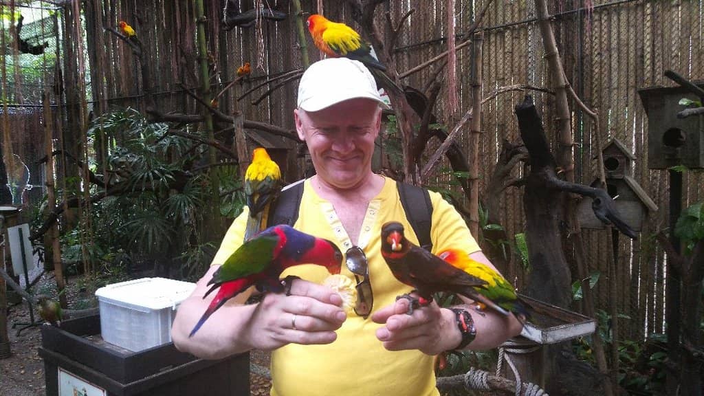 Lush Tropical Setting