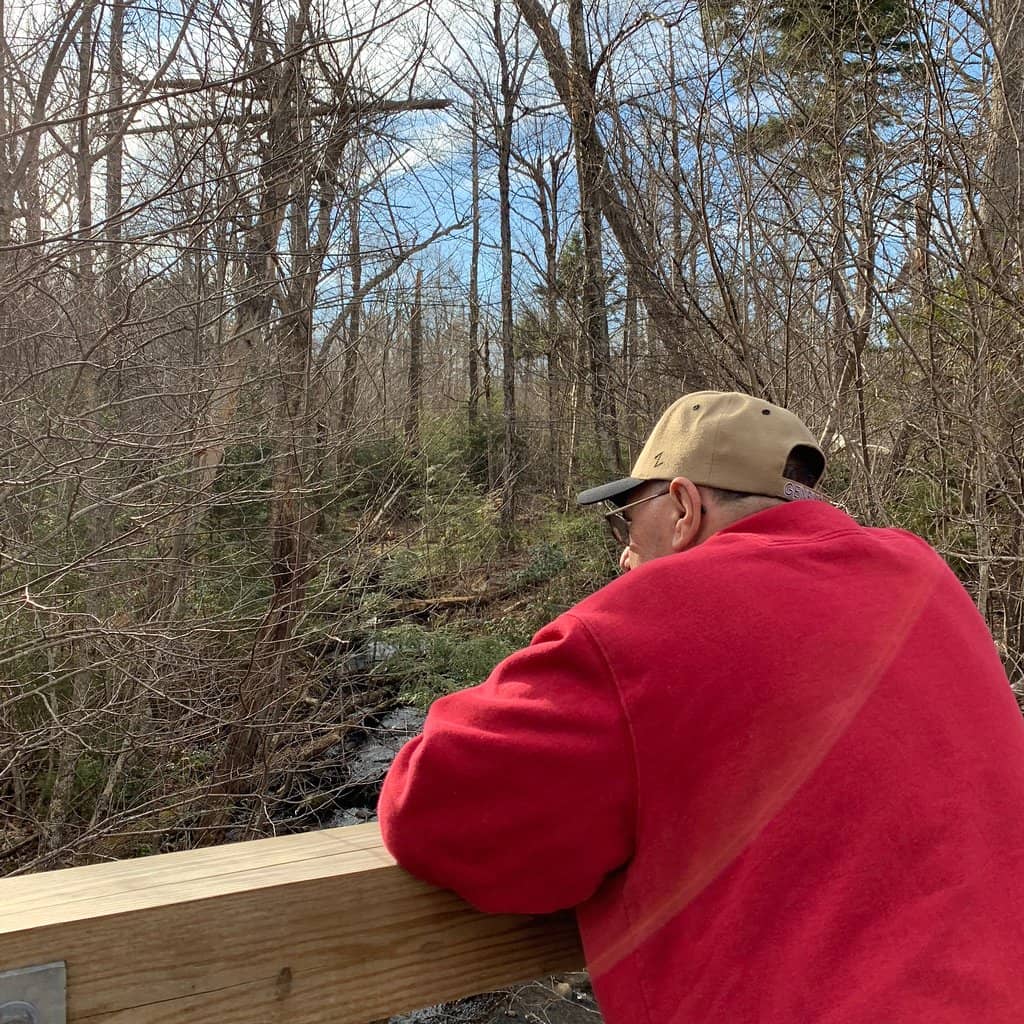 Lakeside Boardwalks