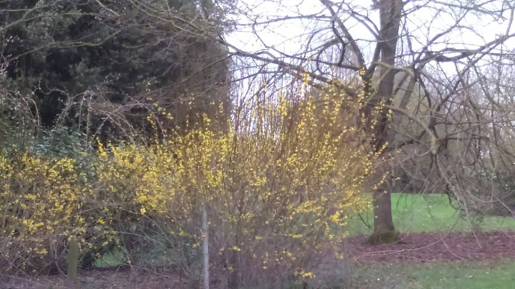 Sculpture Trail & Nature Walks