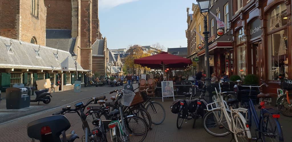 Grote Sint Bavokerk