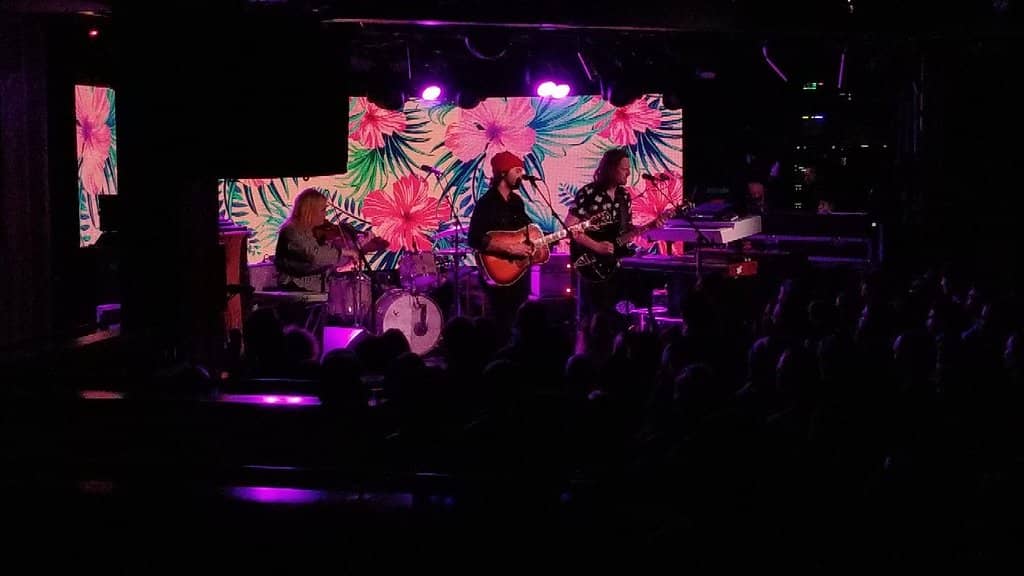 Diverse Musical Lineup