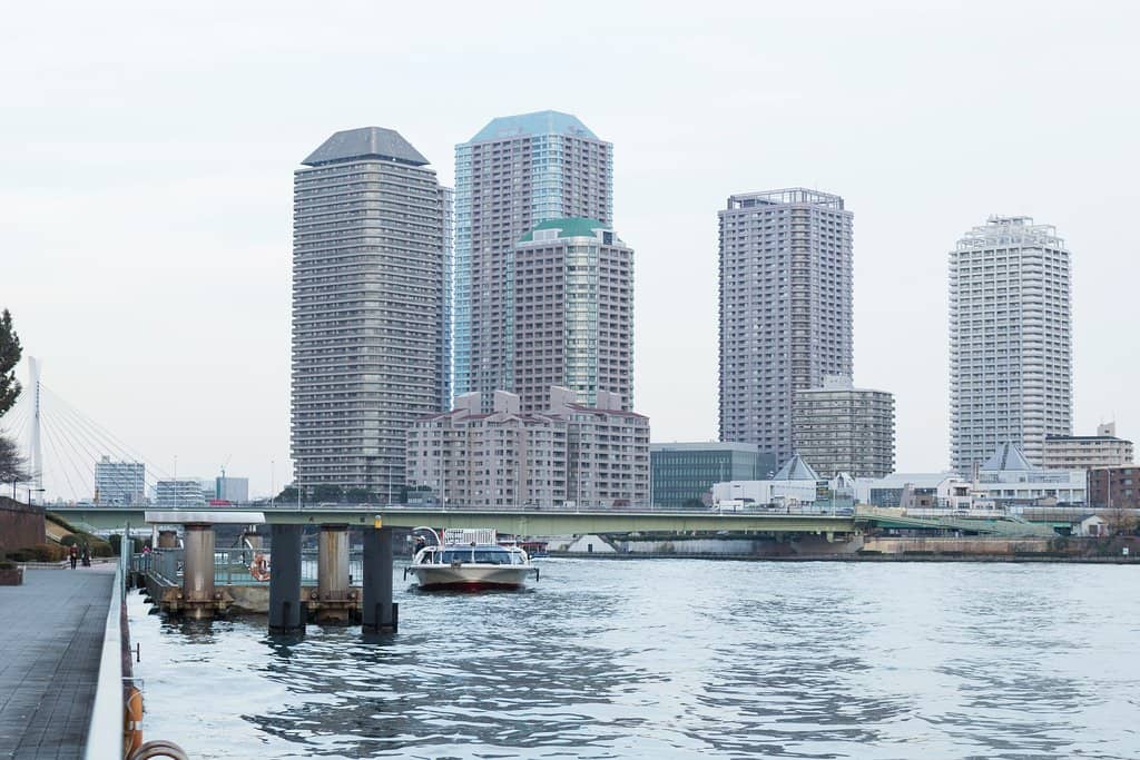 Vast Sunflower Fields