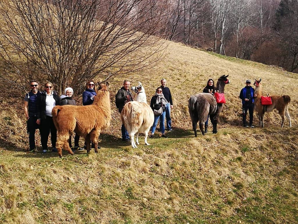 Malga Mariech