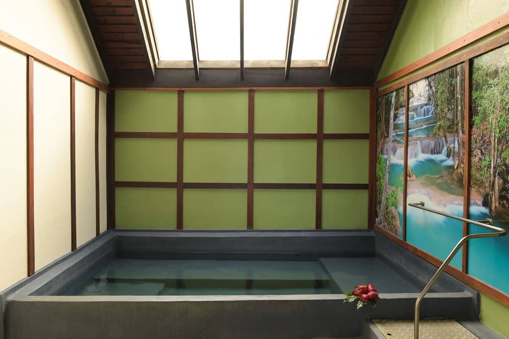 Tranquil Bush Setting