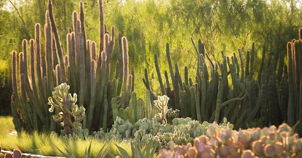 Prehistoric Discoveries