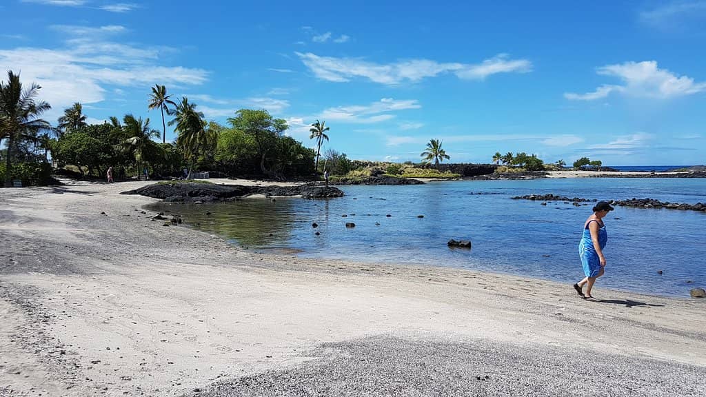 Honu Haven