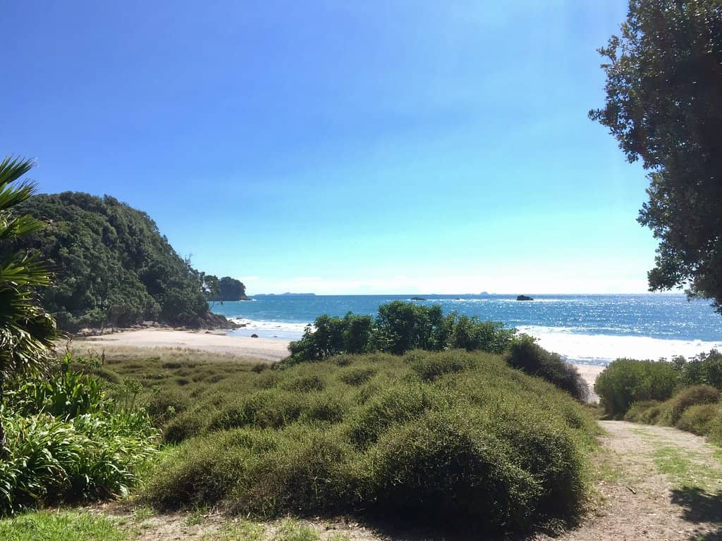 Scenic Coastal Walks