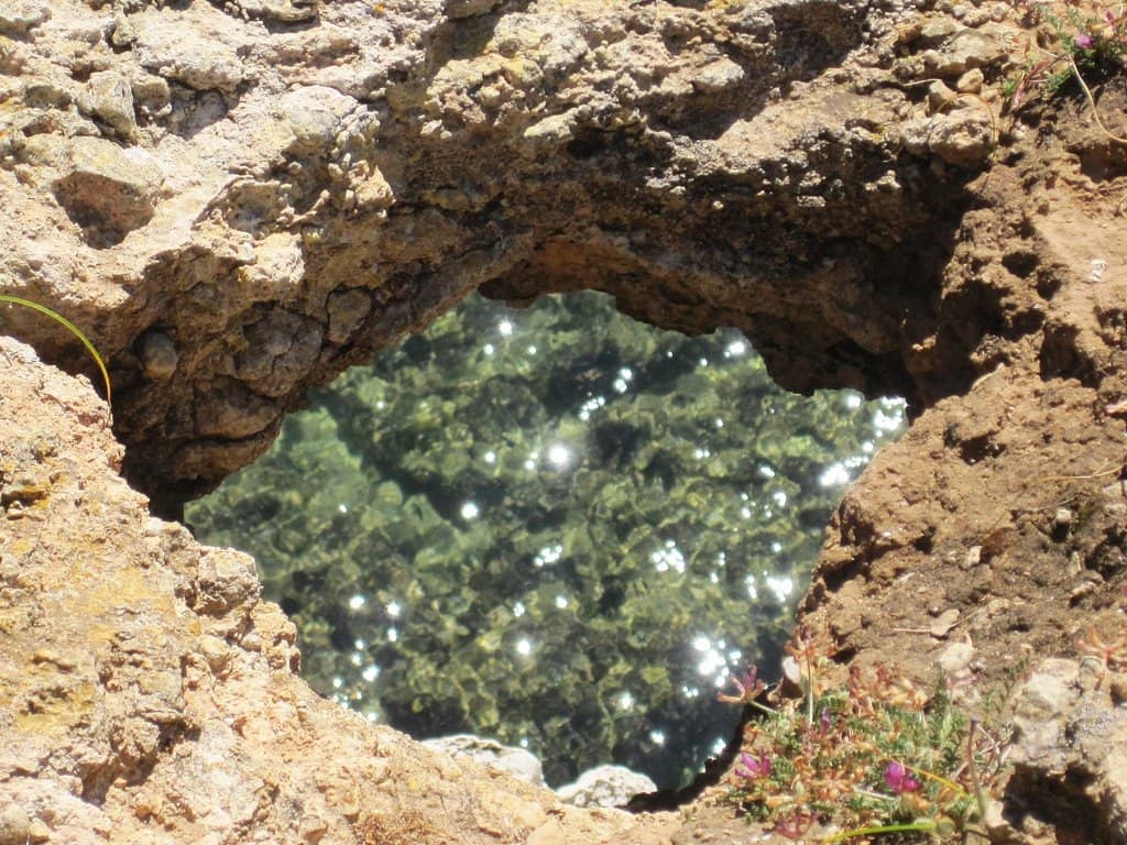 Vertical photo