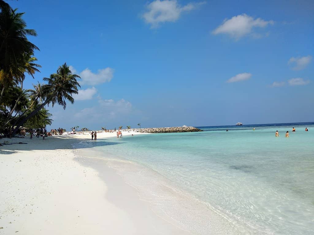 Snorkeling Adventures