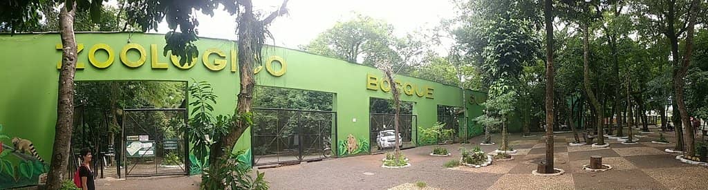 Jungle Walkways