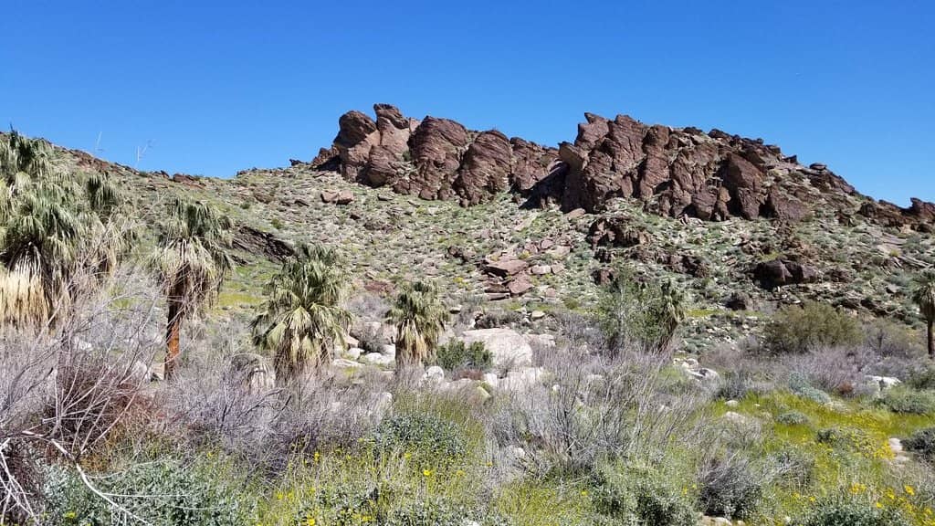 Andreas Canyon