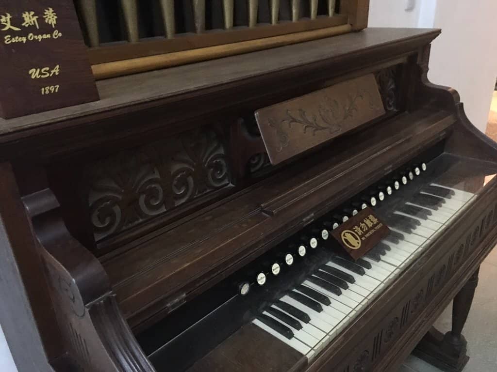 Live Organ Demonstrations