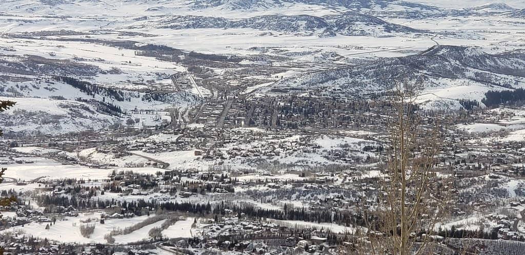 Unconventional & Tasty Dishes