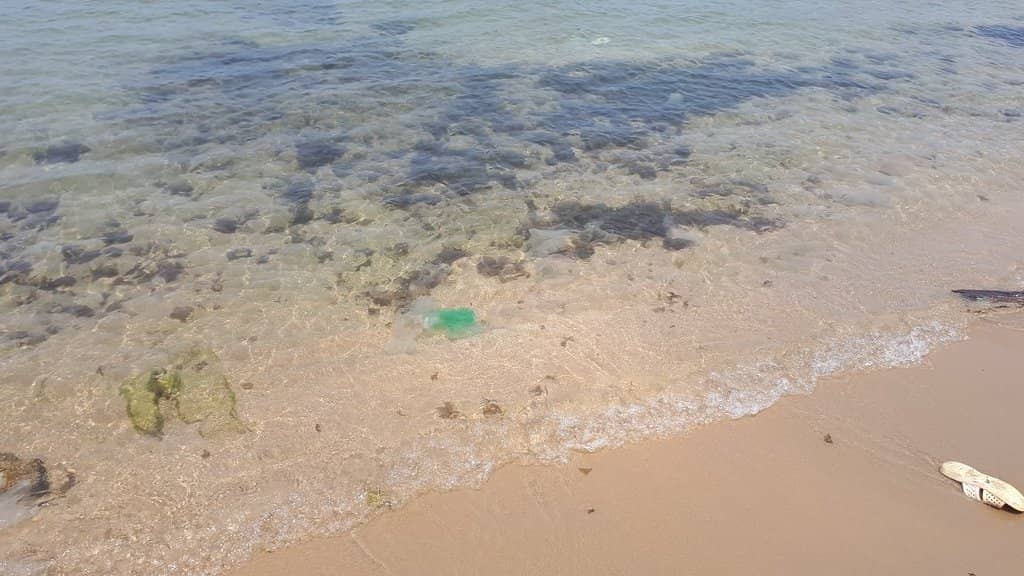 Starfish Beach (Bai Sao)