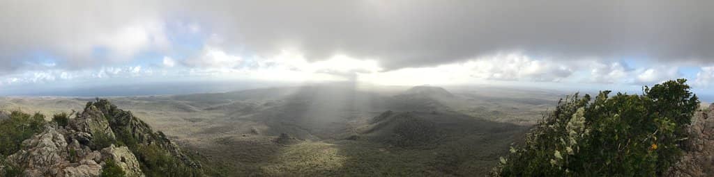 Summit Views