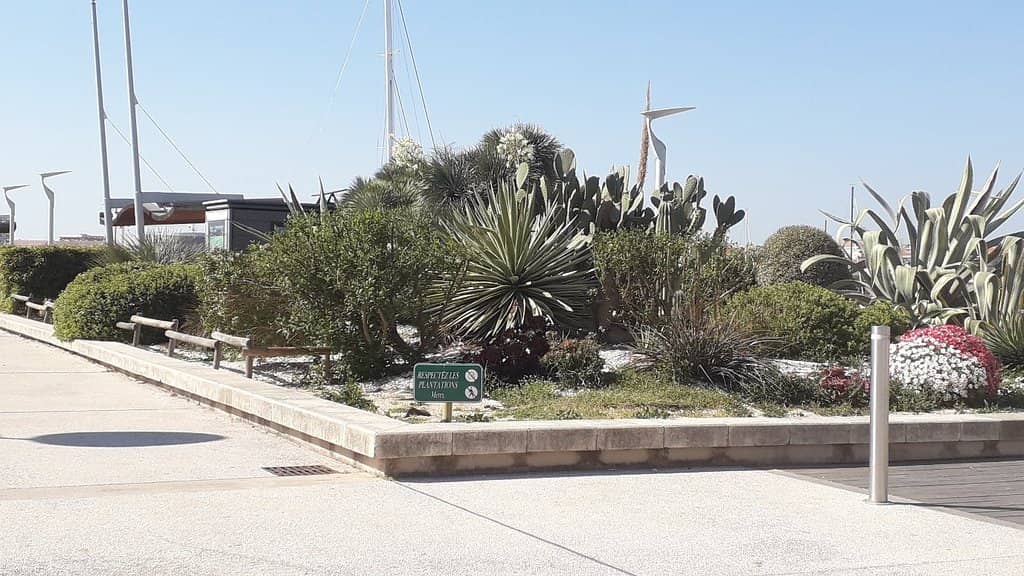Marina & Sea Views