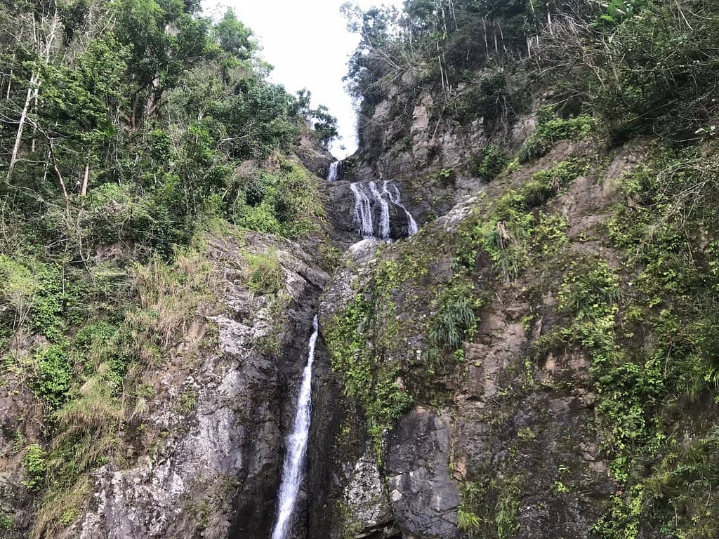 Vertical photo